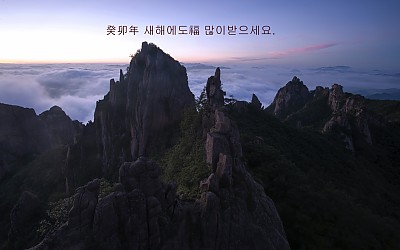 월출산에서!