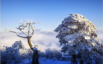 태백산