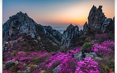 덕룡산