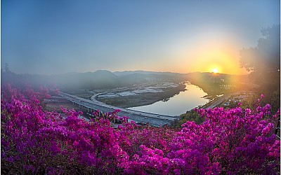 와룡산 일출~!!