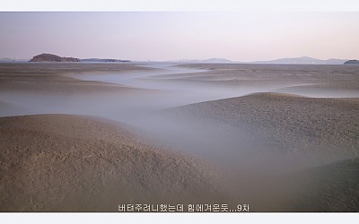갯벌의美.
