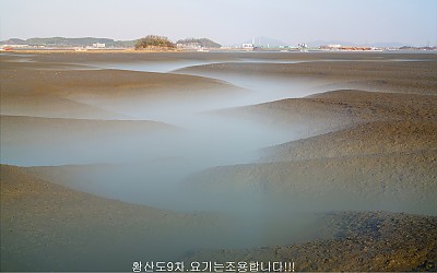 갯벌의美