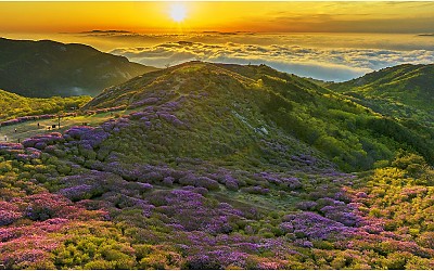 黃梅山