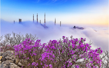 팔공산이니뎌~!!