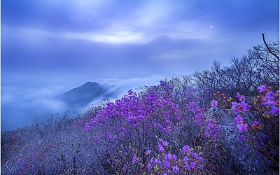 대둔산