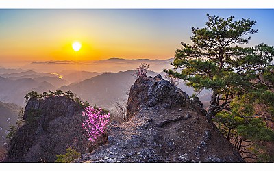 구봉산 소낭구