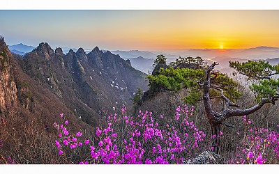 구봉산의 봄