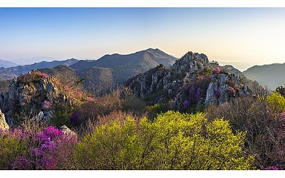 주작산의 신록