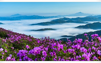 초암산