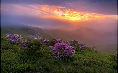 소백산이니뎌~!!