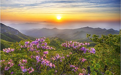 팔공산