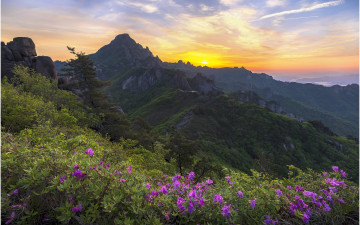 월출산 여명이어라 !!!