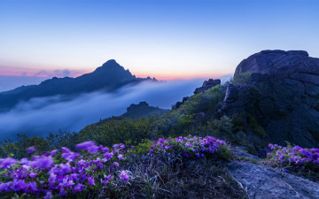 월출산 새벽안개...