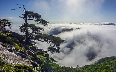 생애대