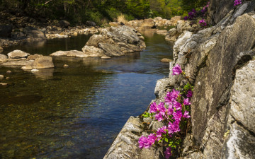 지리산 달궁계곡 01