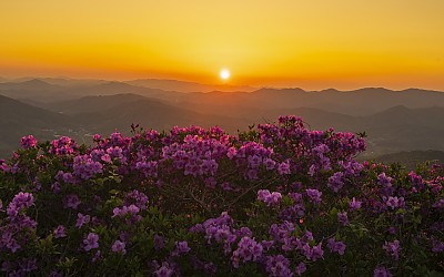 초암산 일몰 풍경 입니다