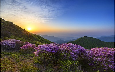 가지산