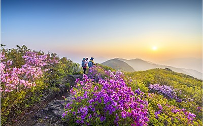 고리봉