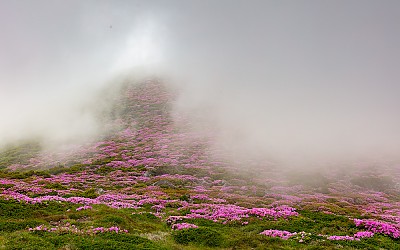 한라산.