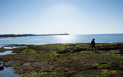 간조