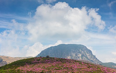 한라산.