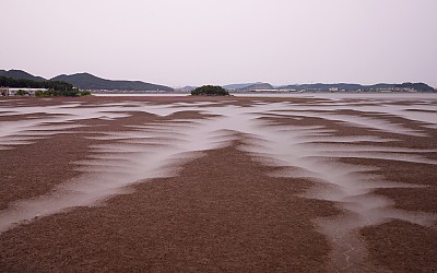 13차4.a99m2.날물.