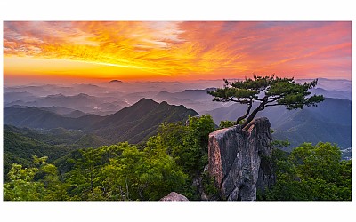 대둔산 여명