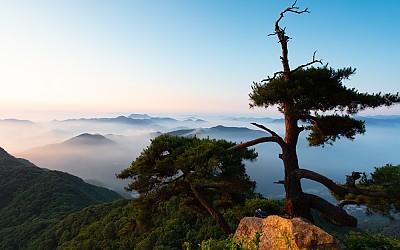 대둔산.