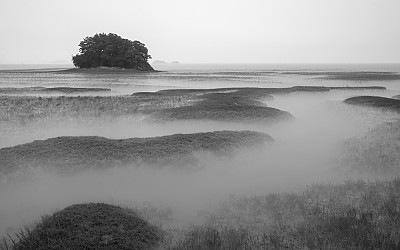 황산도11차.
