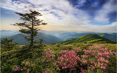 함백산 일몰