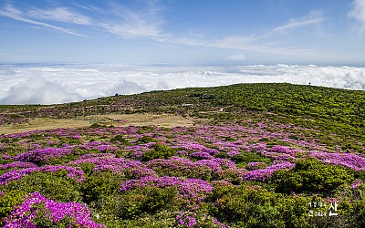 한라산