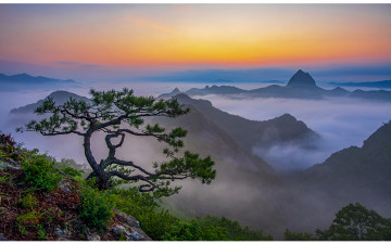 소낭구와 마이산