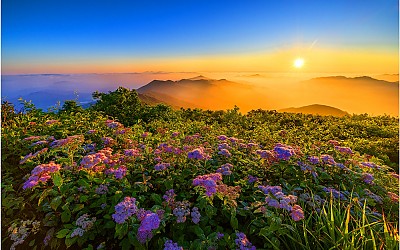 내가 맞이한 산정의 아침