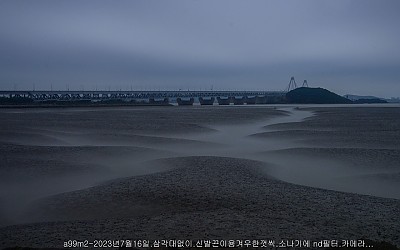 정서진 갯골1.