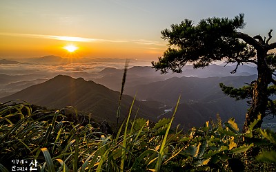 대둔산