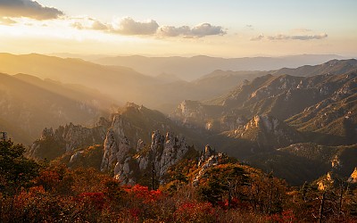 소청에서!