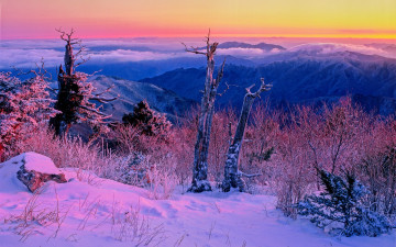 再生.덕유산의겨울!