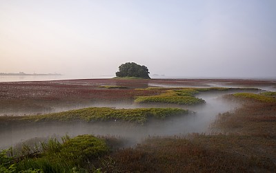 황산도14차