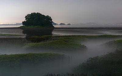 황산도갯골.밀물.