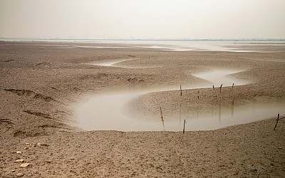 공세리1
