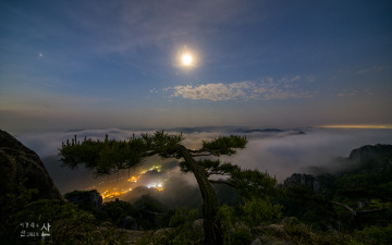 달밝은 밤에 소나무 밑에 홀로 앉아!!
