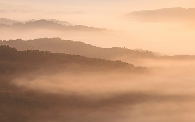오늘 새벽 뒷산에 올라