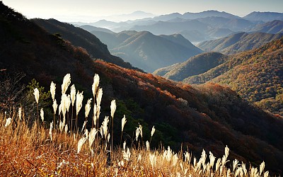 내장산
