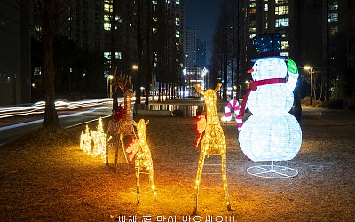 새해 福 많이받으세요!