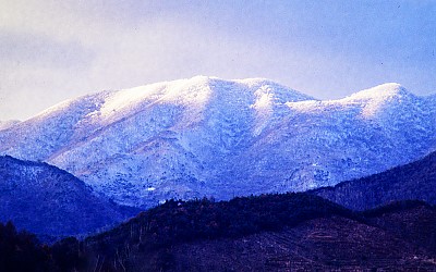야산