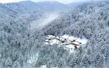 오대산 상원사 !!!