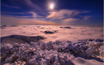 夜景도 晝景같이~!!!