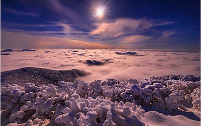夜景도 晝景같이~!!!