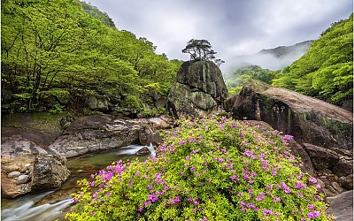 지리산~!!!