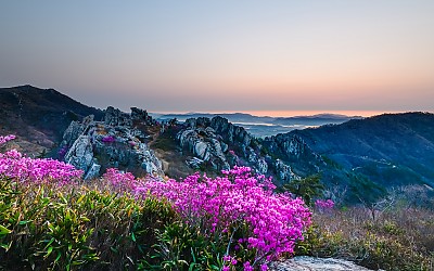 주작산